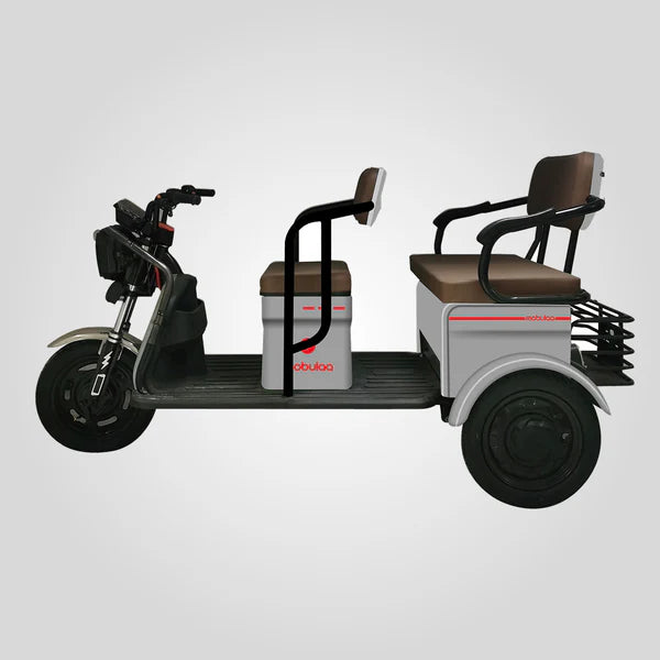 TRIMOTO Electrica Mobulaa M6  FAMILY 6