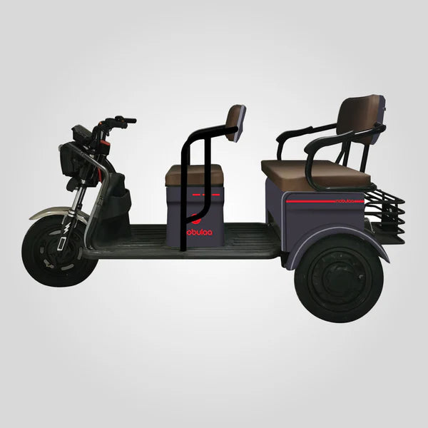 TRIMOTO Electrica Mobulaa M6  FAMILY 6