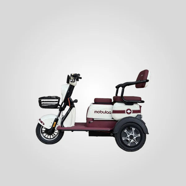 TRIMOTO Electrica Mobulaa M1 FAMILY