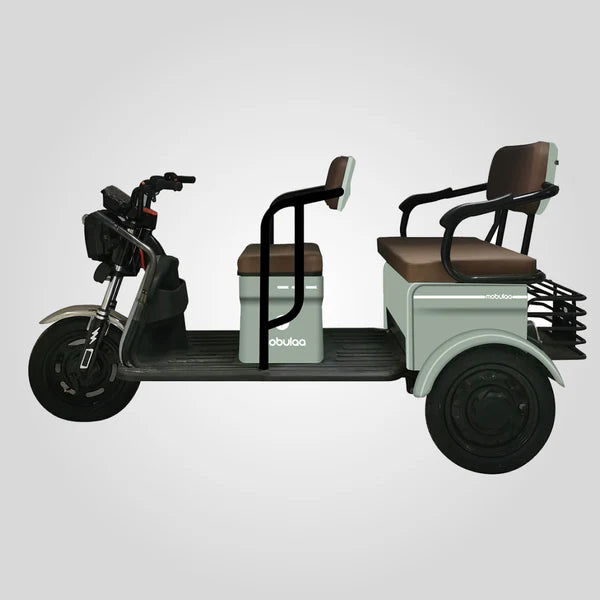 TRIMOTO Electrica Mobulaa M6  FAMILY 6