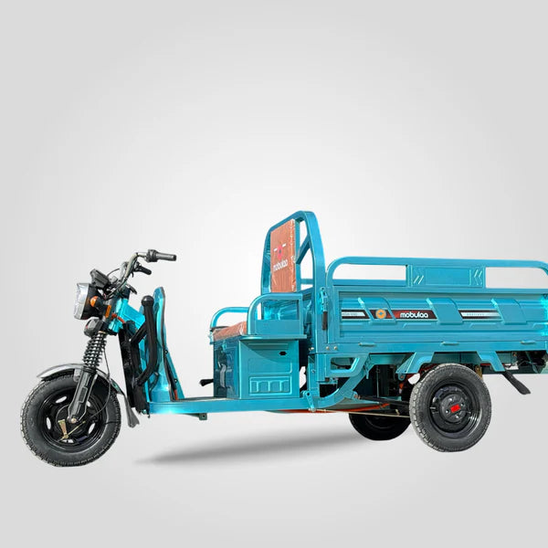 TRIMOTO Electrica C1 TYSON DE CARGA