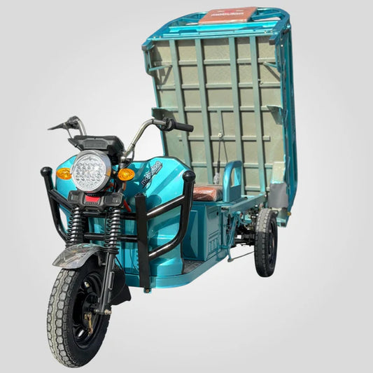 TRIMOTO Electrica C1 TYSON DE CARGA