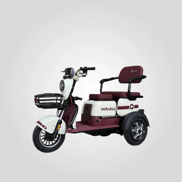 TRIMOTO Electrica Mobulaa M1 FAMILY